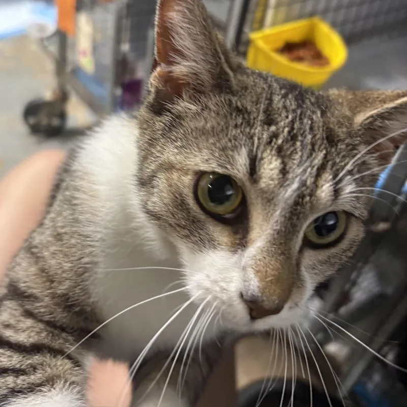 Holly N. – Lap thumbnail 2