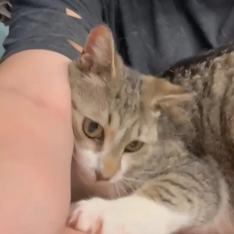 Holly N. – Lap thumbnail 3