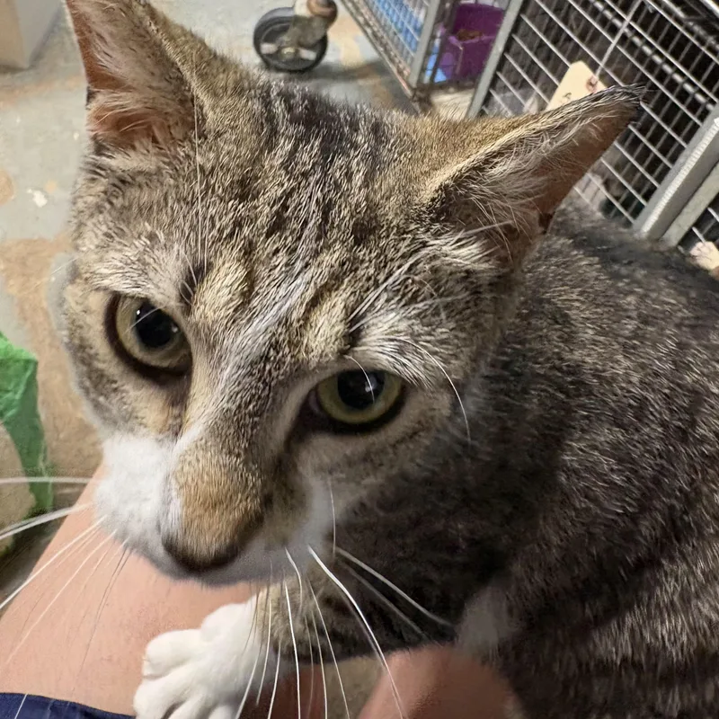 Holly N. – Lap thumbnail 4