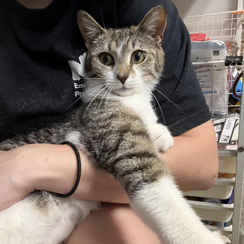 Holly N. – Lap thumbnail 5