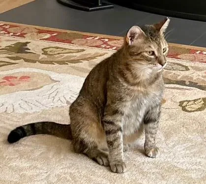 Eloise