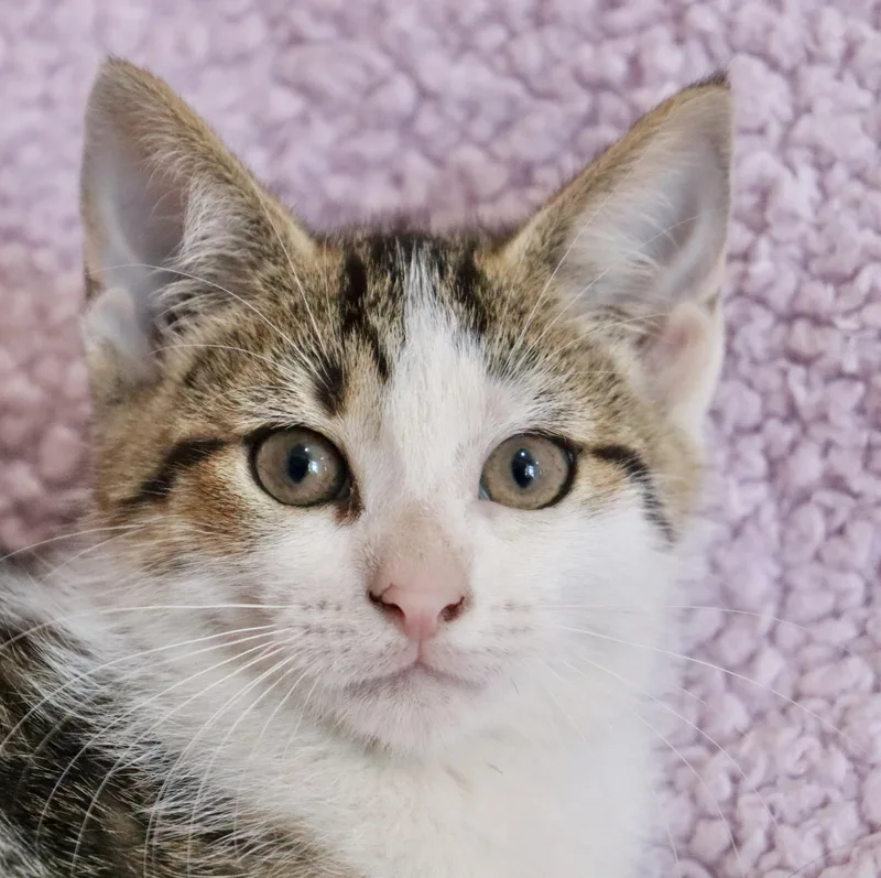 Margarita thumbnail 2