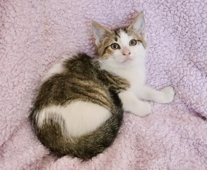 Margarita thumbnail 3