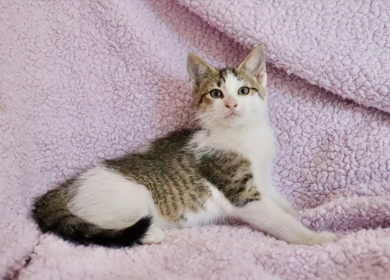 Margarita thumbnail 4