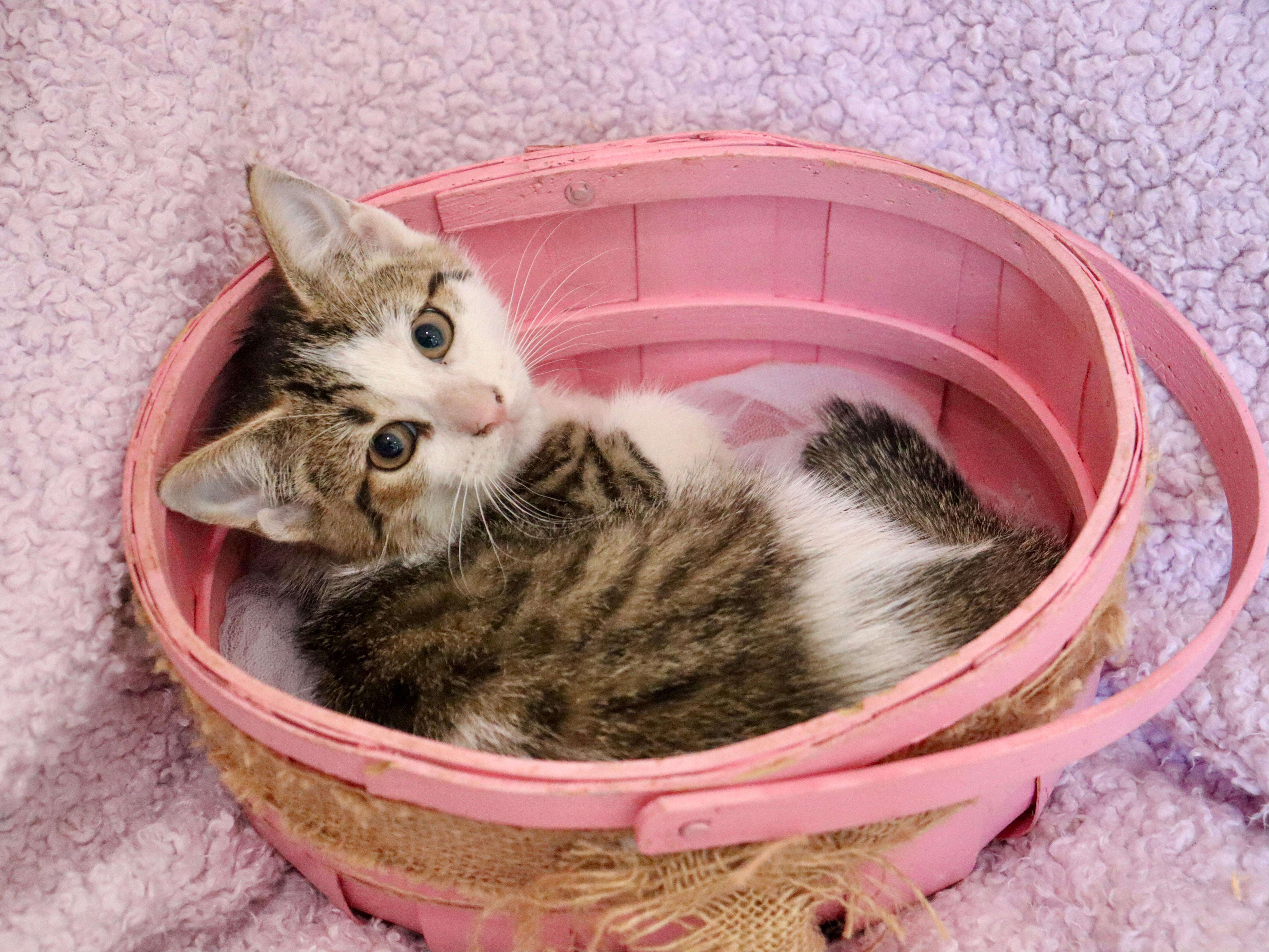 Margarita thumbnail 6