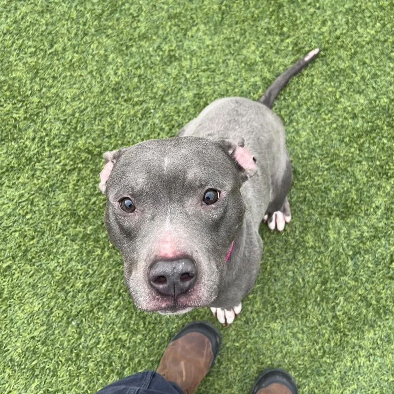 Mandarin thumbnail 2