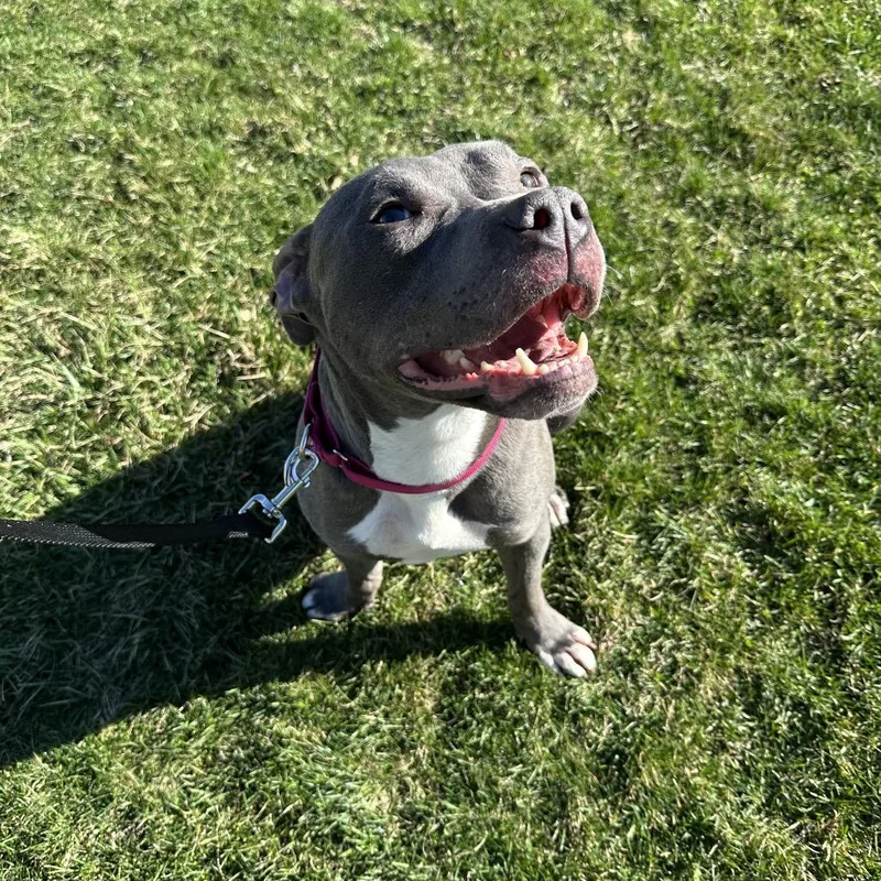 Mandarin thumbnail 3