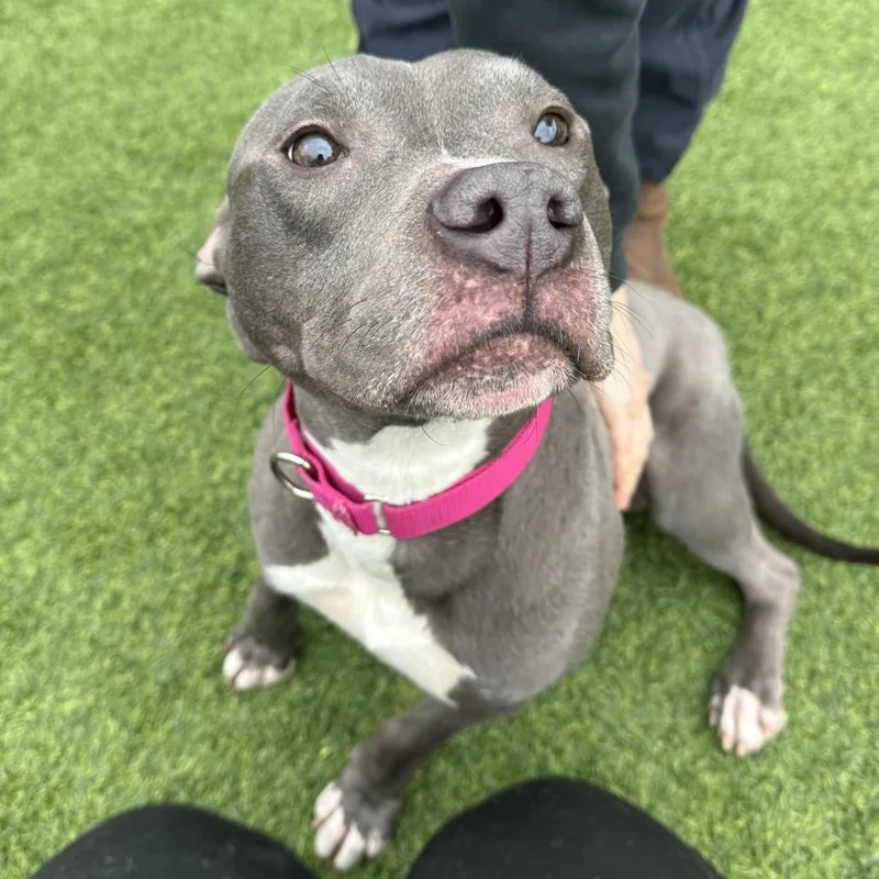 Mandarin thumbnail 5