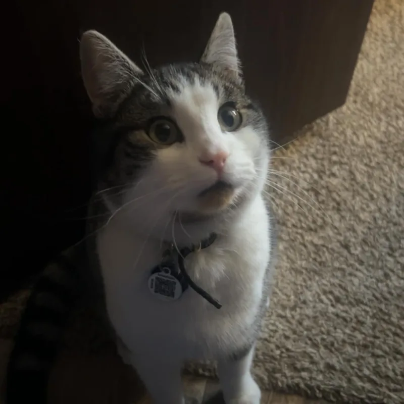 Loba & Baby G thumbnail 2