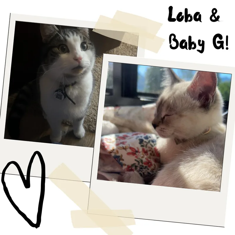 Loba & Baby G
