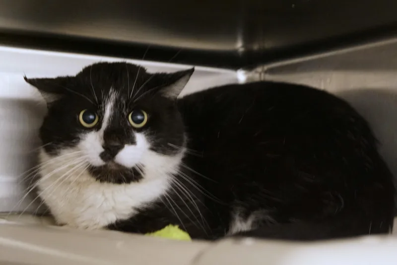 Ryland Grace thumbnail 2