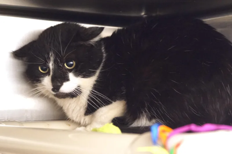 Ryland Grace thumbnail 3