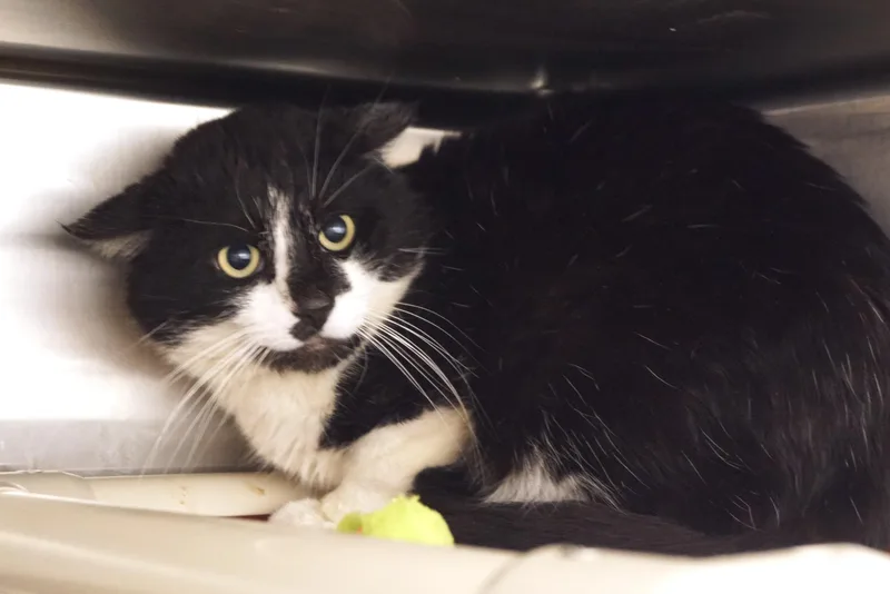 Ryland Grace thumbnail 4