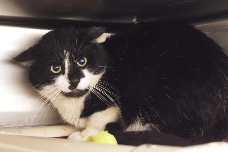 Ryland Grace thumbnail 5