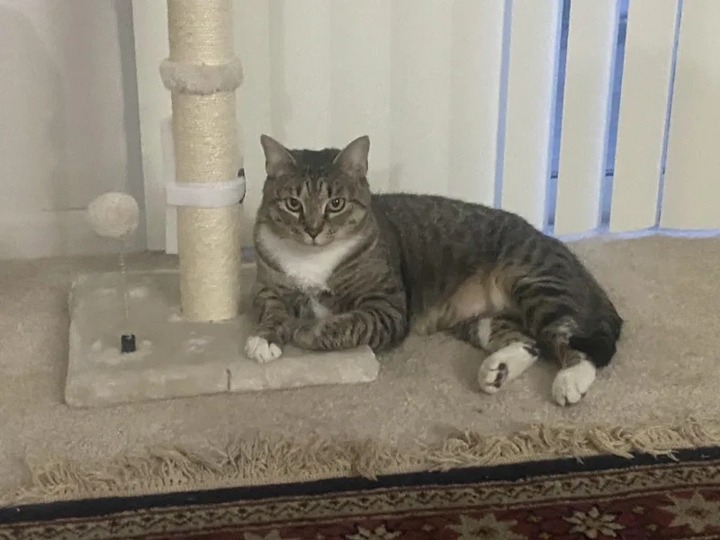 Tina Marie thumbnail 2