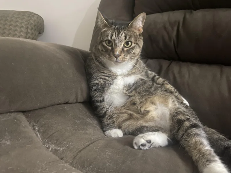 Tina Marie thumbnail 3