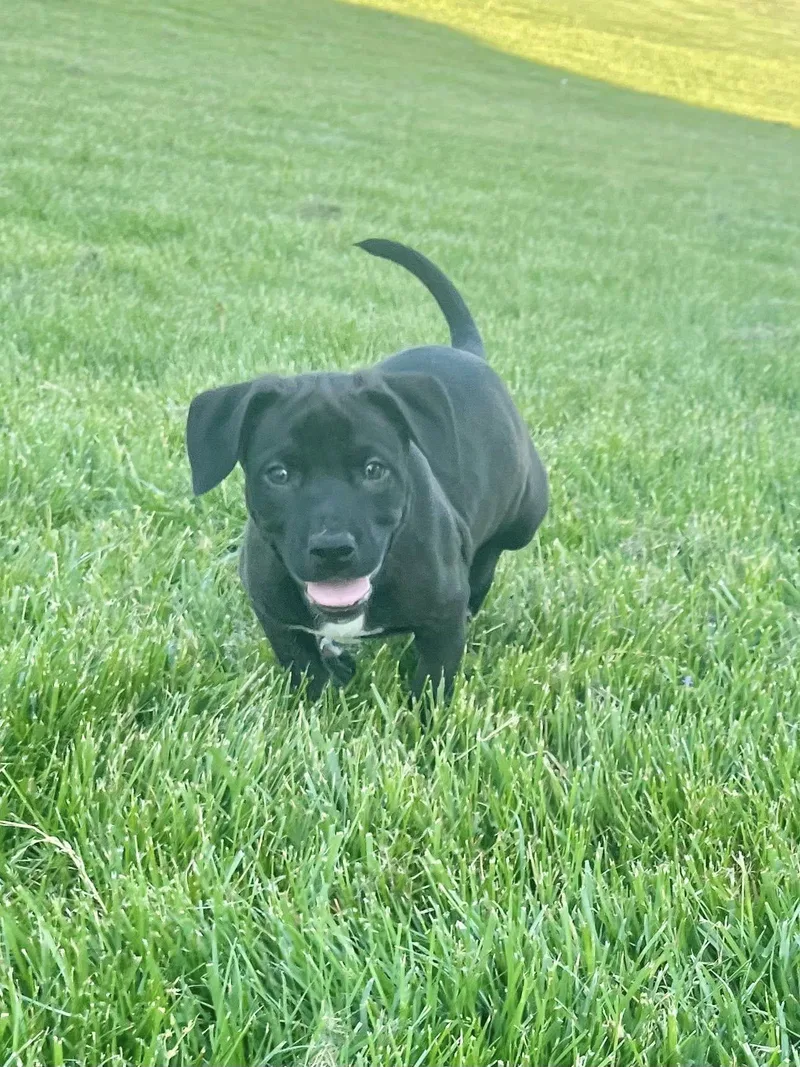 Eight Ball thumbnail 2