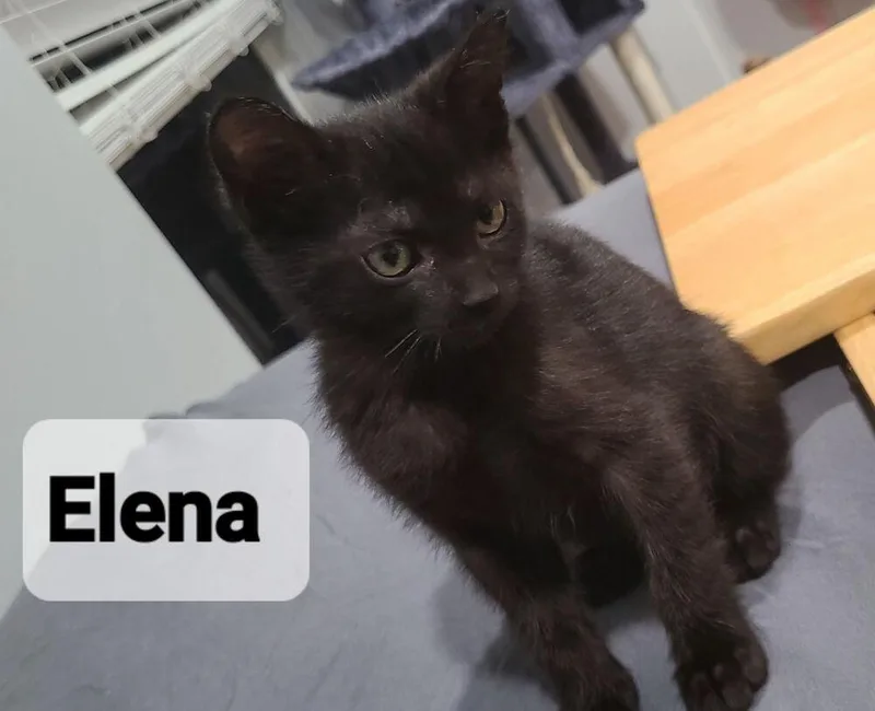 Elena thumbnail 2