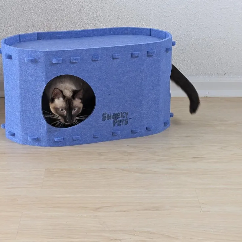 Isabelle thumbnail 2