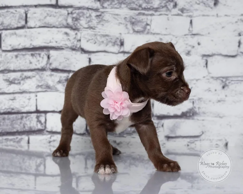 Tina thumbnail 2