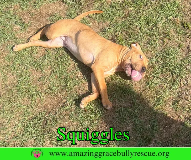 Squiggles thumbnail 3