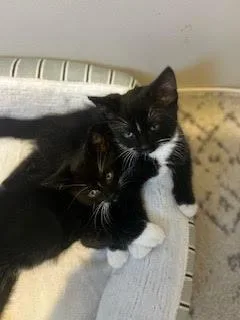 Libby And Wes