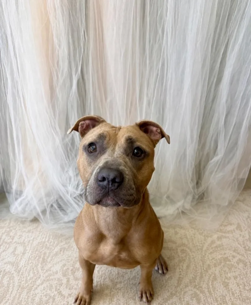 Rosie
