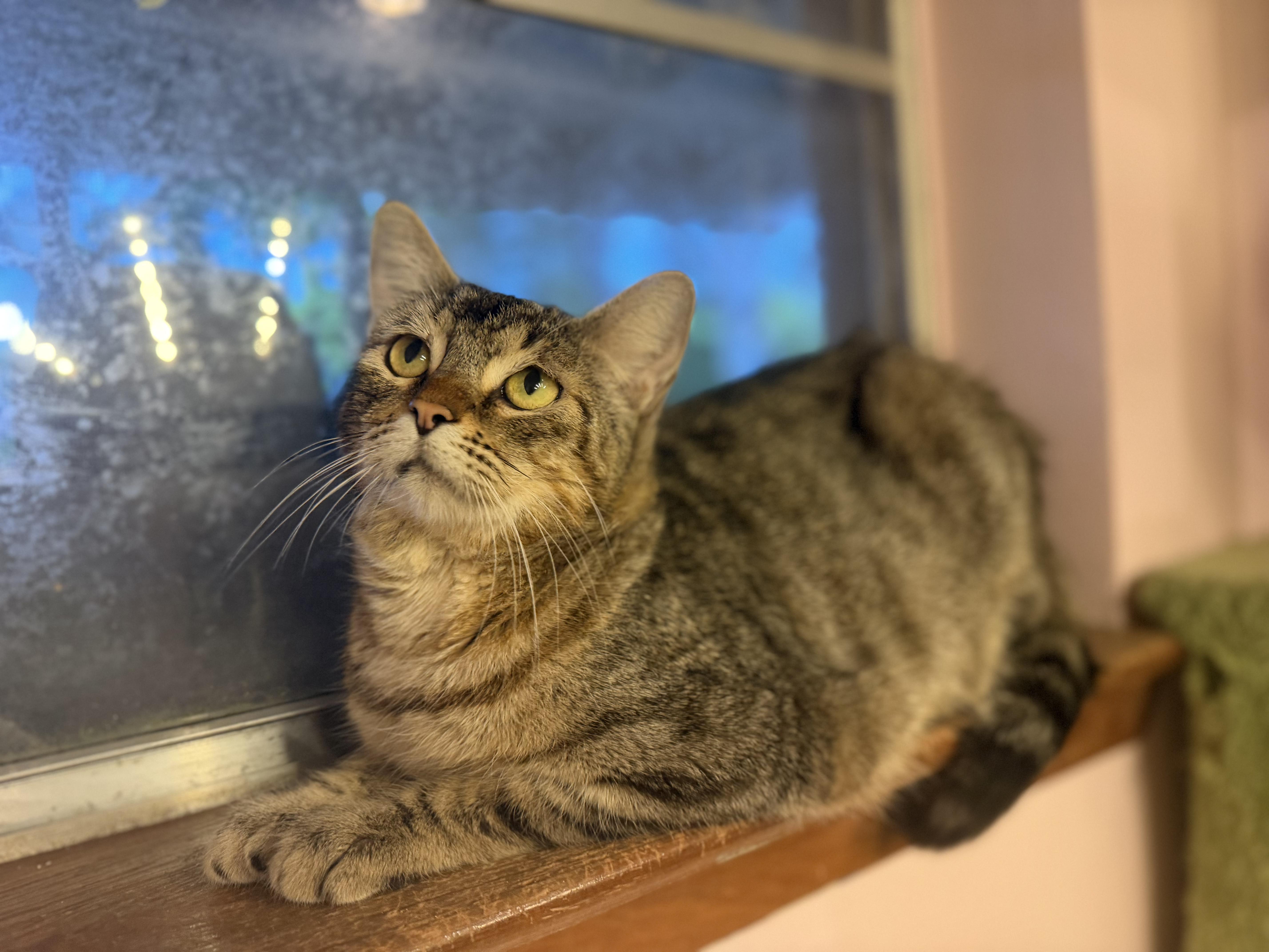 Lil Sister thumbnail 4