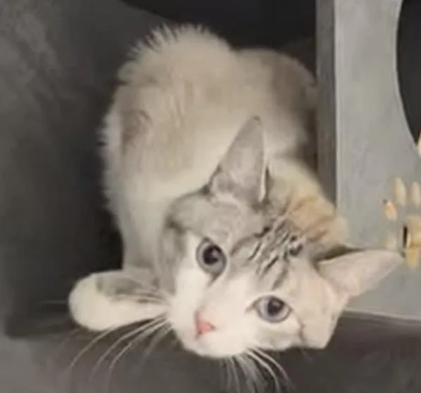 Mr. Jitters thumbnail 2