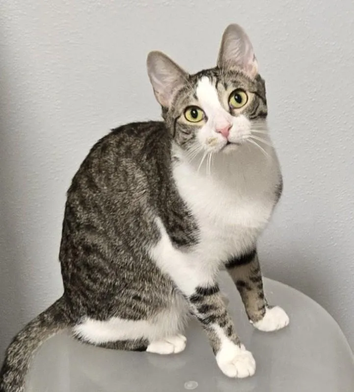 Travis Bonded With Tucker