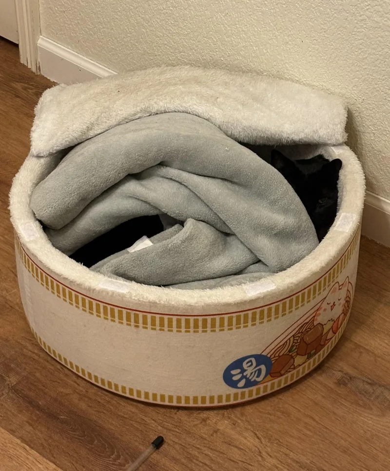 Mr. Nori thumbnail 3