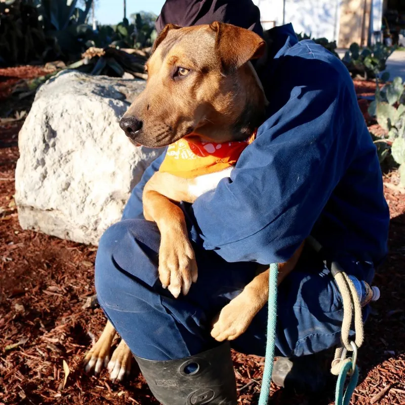 Rosalyn Jum thumbnail 3