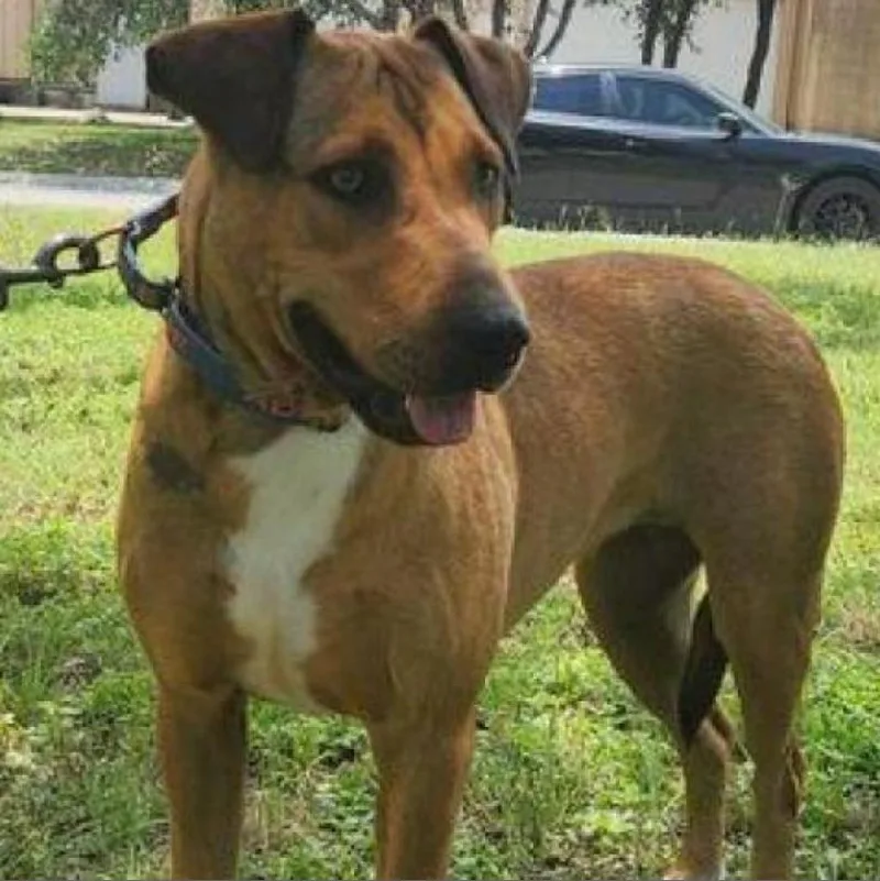 Rosalyn Jum thumbnail 4