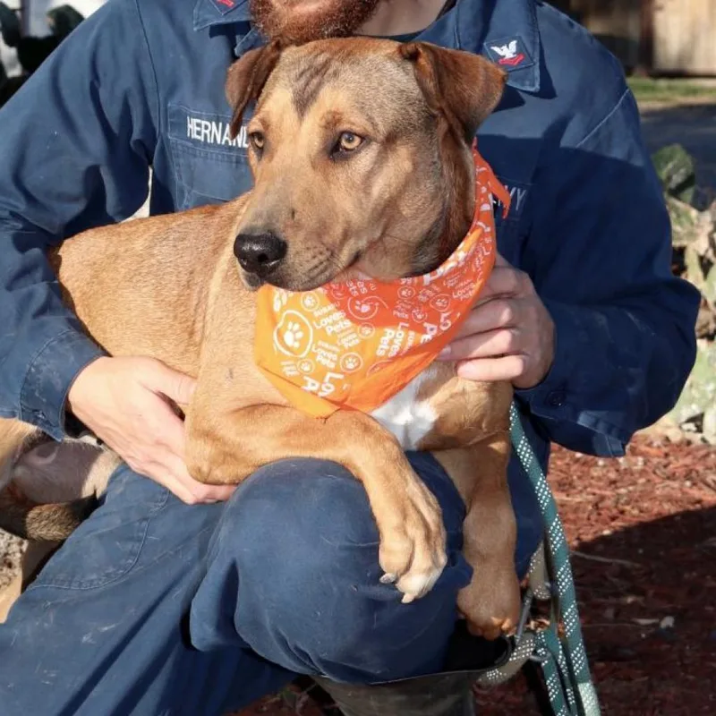 Rosalyn Jum thumbnail 5