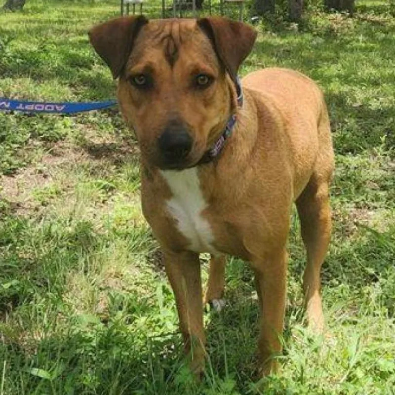 Rosalyn Jum thumbnail 6