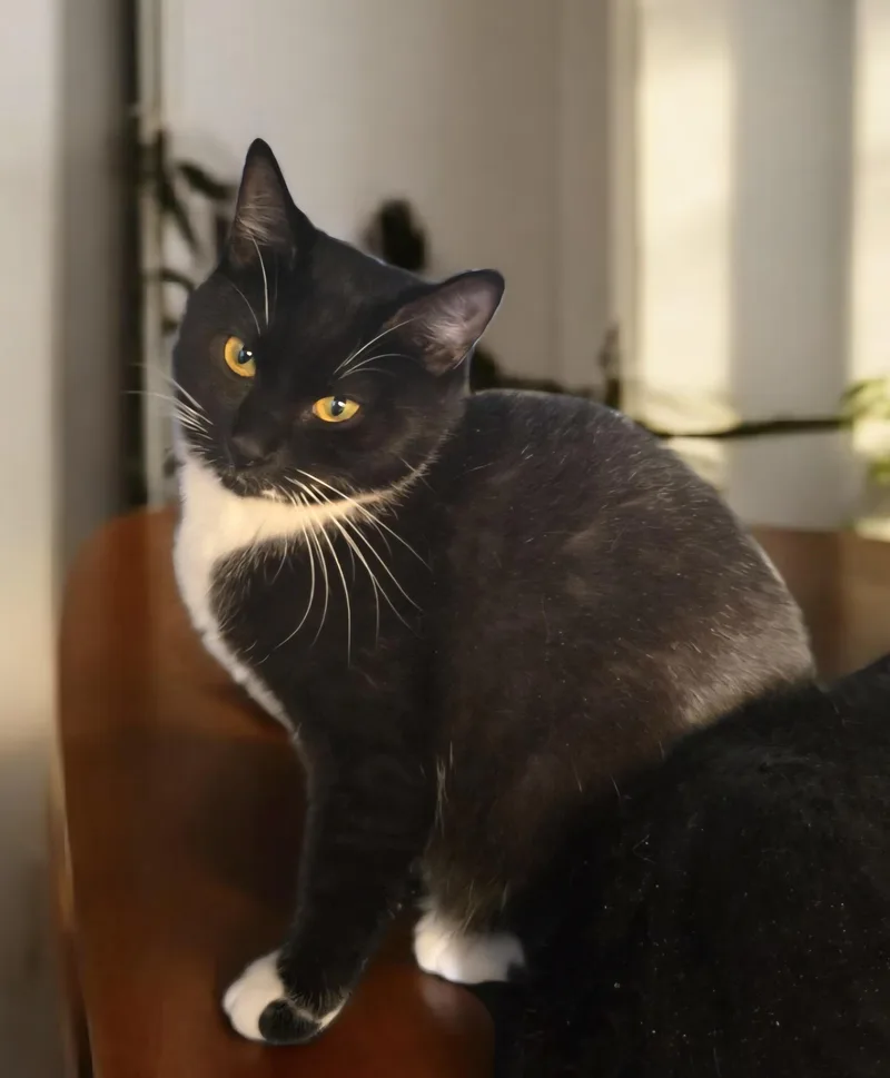 Esmerelda thumbnail 3