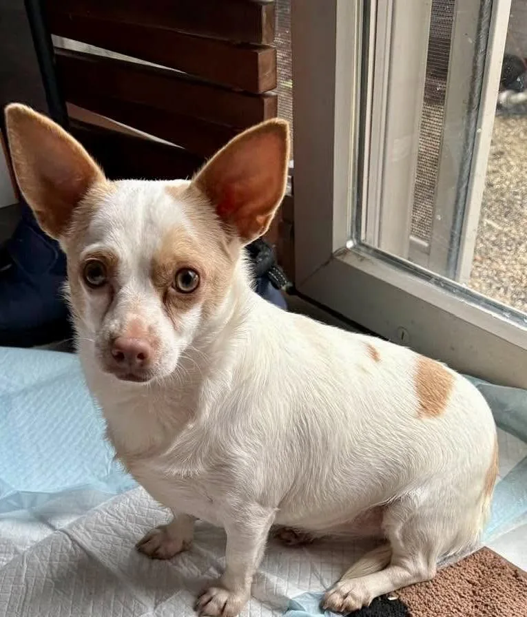 Winnie And Willow thumbnail 4