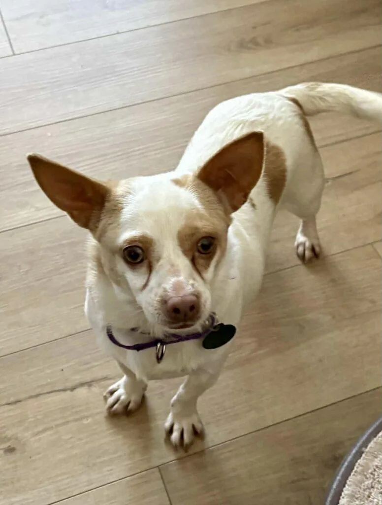 Winnie And Willow thumbnail 6