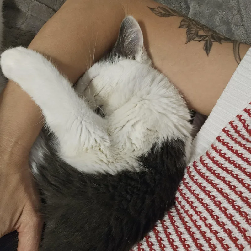 Boomer and Sweetpea thumbnail 6