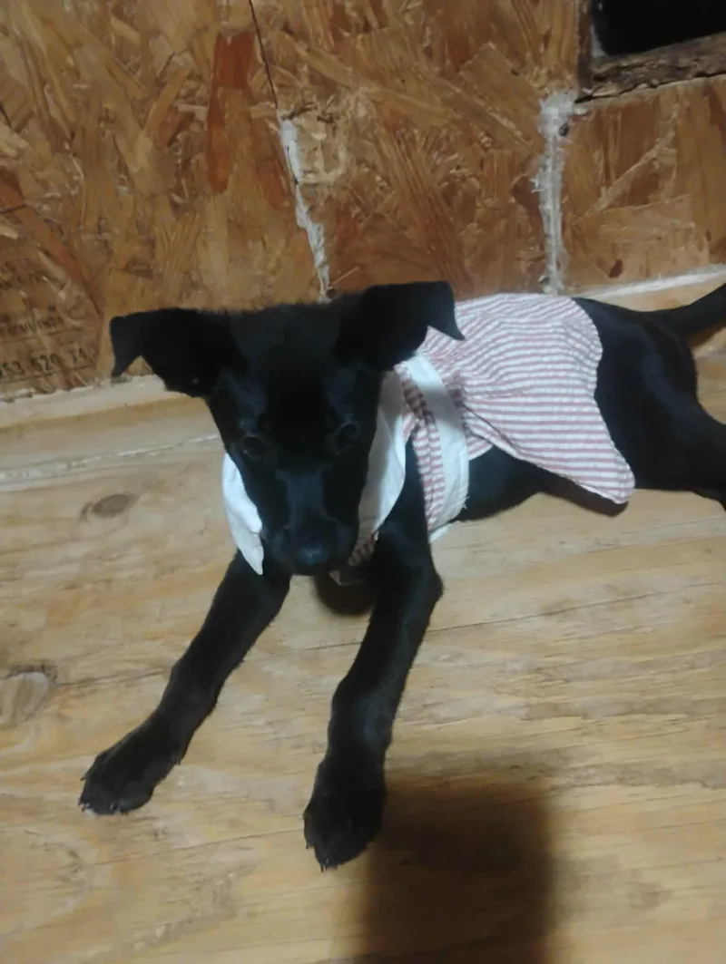 Zena thumbnail 3