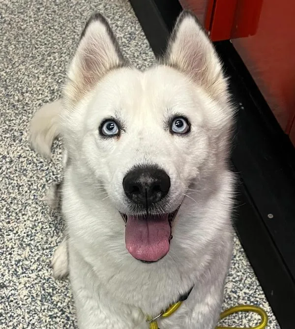 Alaska