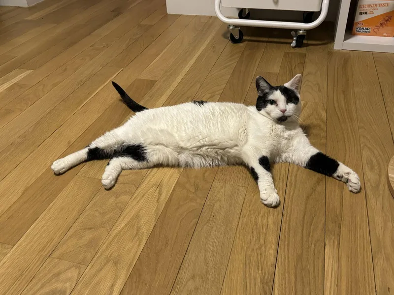 Michelle And Pearl thumbnail 2