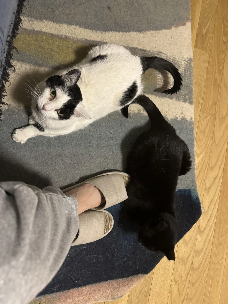 Michelle And Pearl thumbnail 3