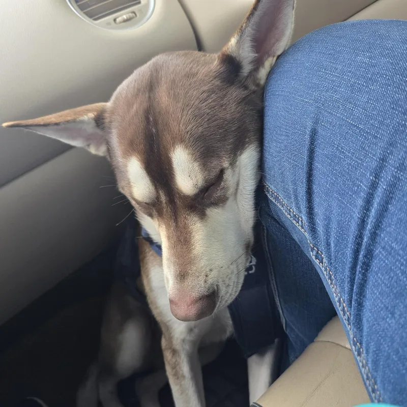 Sapphire thumbnail 2