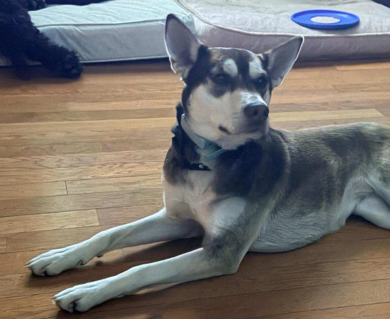 Sapphire thumbnail 3