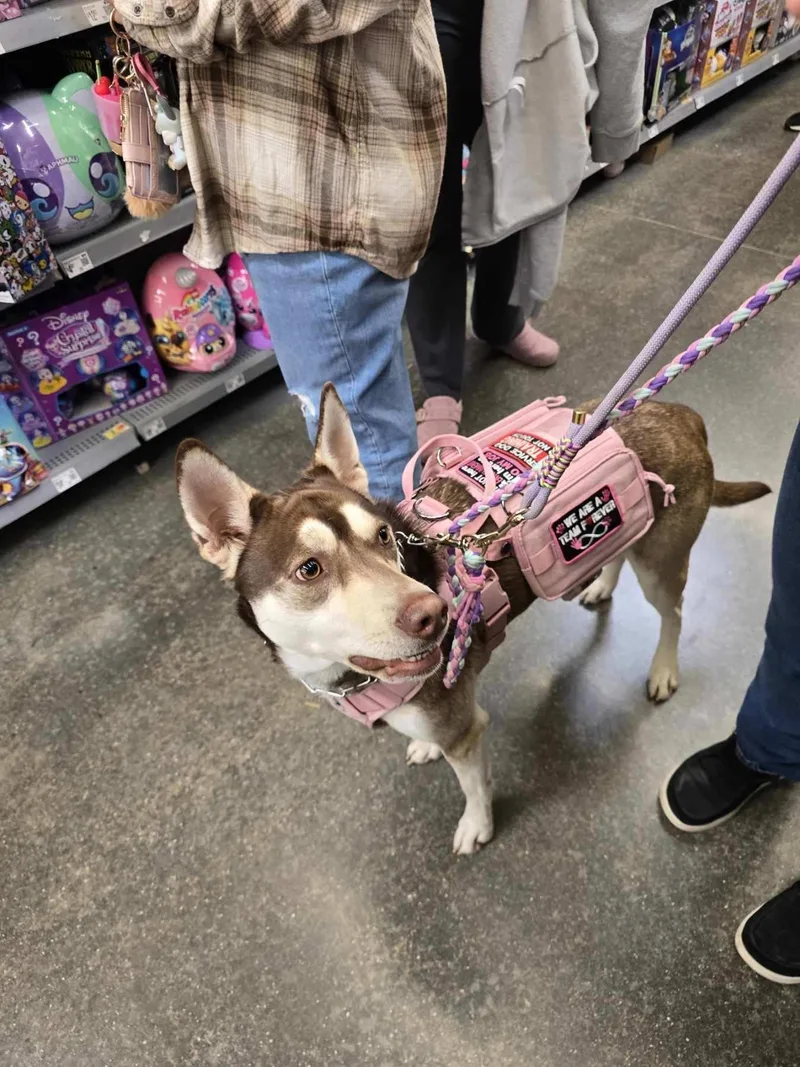 Sapphire thumbnail 4