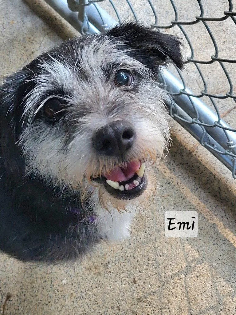 Emi thumbnail 2