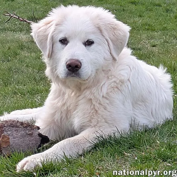 Sierra In Mi  thumbnail 2