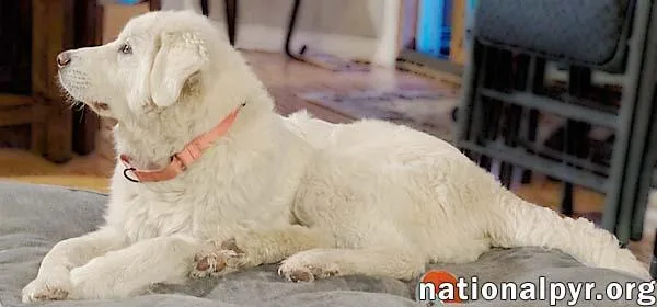 Sierra In Mi  thumbnail 3