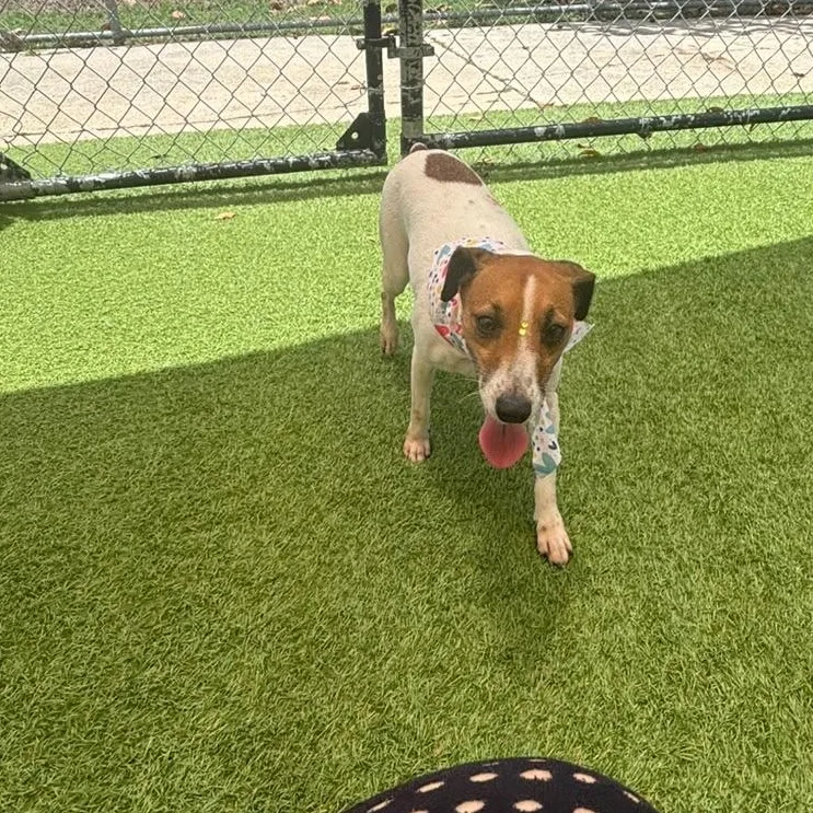 Moana thumbnail 5